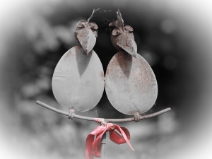 Fotograf_Juergen_Becker_fuer_MANATNET_Interim_Blog_Titel_Jeder_hat_das_Recht_meine_Meinung_zu_aeussern